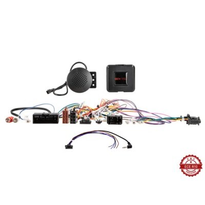LFB Ford diverse Fahrzeuge 24Pin/Display Multilead